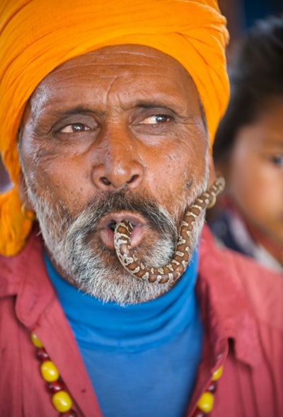 Tục thôi miên rắn lạ lùng ở Ấn Độ - 4 Tục thôi miên rắn lạ lùng ở Ấn Độ - 4