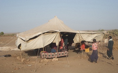 Tục thôi miên rắn lạ lùng ở Ấn Độ - 5 Tục thôi miên rắn lạ lùng ở Ấn Độ - 5