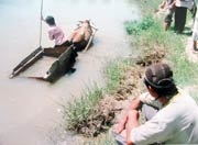 Khởi tố người bỏ mặc 2 trẻ em chết đuối - 1 Khởi tố người bỏ mặc 2 trẻ em chết đuối - 1