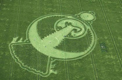 Vòng tròn chim phượng hoàng hiện hình trên cánh đồng - 2 Vòng tròn chim phượng hoàng hiện hình trên cánh đồng - 2