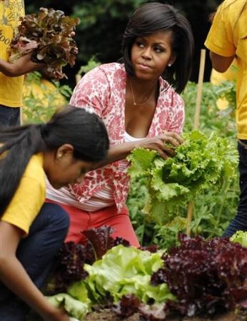 Chùm ảnh: Đệ nhất phu nhân Mỹ thu hoạch “vụ mùa” đầu tiên ở Nhà Trắng - 3