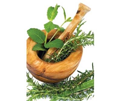 Hư thực bài thuốc bí truyền của tử tù - 1 Hư thực bài thuốc bí truyền của tử tù - 1