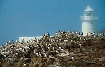 Chùm ảnh: Những hòn đảo thiên đường của nước Anh - 7