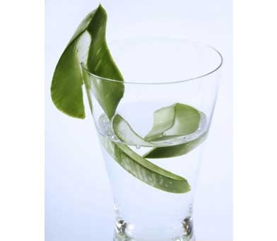 Có nên cho trẻ uống nước lô hội?  - 1