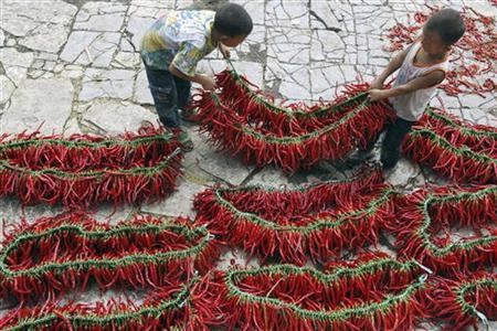 Ấn Độ dùng ớt làm vũ khí  - 1 Ấn Độ dùng ớt làm vũ khí  - 1