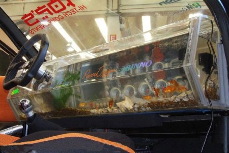 “Xế” lạ trên phố - 2