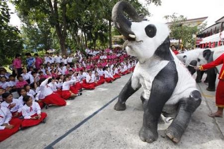 Chùm ảnh: Ngộ nghĩnh voi - gấu trúc ở Thái Lan - 3