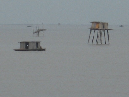 Bãi triều chung bị một số cá nhân lấn chiếm    - 1 Bãi triều chung bị một số cá nhân lấn chiếm    - 1