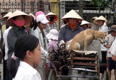 Diễn tập "ngăn" bão biển - 2 Diễn tập "ngăn" bão biển - 2