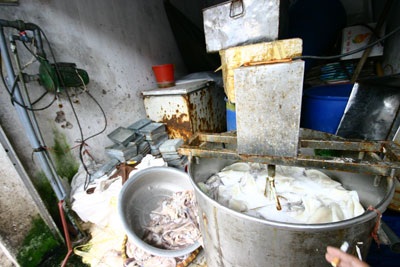 Dùng hóa chất biến mực thối thành mực tươi - 2 Dùng hóa chất biến mực thối thành mực tươi - 2