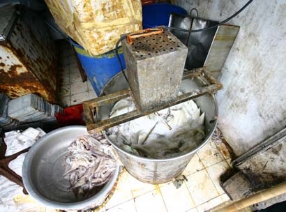 Siết chặt hoạt động vận chuyển, buôn bán, giết mổ gia súc, gia cầm  - 1 Siết chặt hoạt động vận chuyển, buôn bán, giết mổ gia súc, gia cầm  - 1