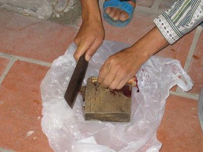 “Cóc vừa độc, vừa chứa nhiều giun sán” - 1