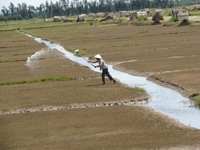 Diêm dân đau đầu vì phải làm muối bằng nước ô nhiễm - 3