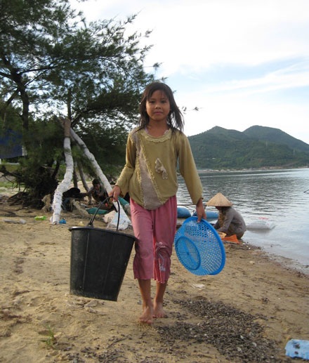 Mùa ốc ở vịnh Lăng Cô - 5 Mùa ốc ở vịnh Lăng Cô - 5