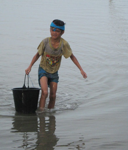 Mùa ốc ở vịnh Lăng Cô - 7 Mùa ốc ở vịnh Lăng Cô - 7