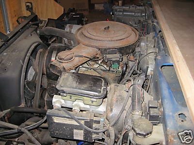 Chùm ảnh: Hummer gỗ - 2