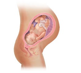 Thai 39 tuần tuổi - 1 Thai 39 tuần tuổi - 1