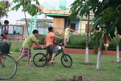 “Tan nát” những thảm cỏ xanh - 1 “Tan nát” những thảm cỏ xanh - 1