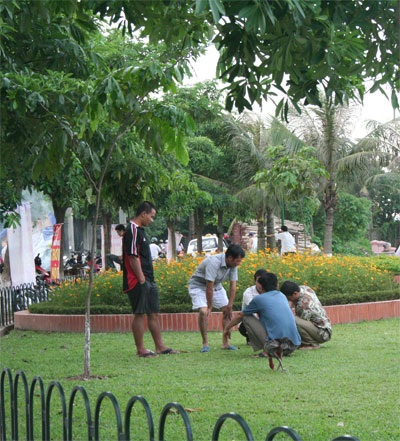 “Tan nát” những thảm cỏ xanh - 5 “Tan nát” những thảm cỏ xanh - 5