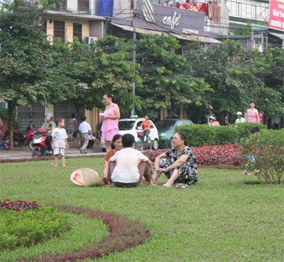 “Tan nát” những thảm cỏ xanh - 6 “Tan nát” những thảm cỏ xanh - 6