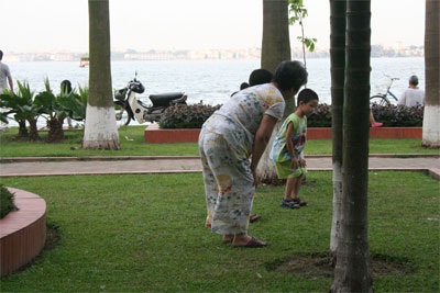 “Tan nát” những thảm cỏ xanh - 4 “Tan nát” những thảm cỏ xanh - 4