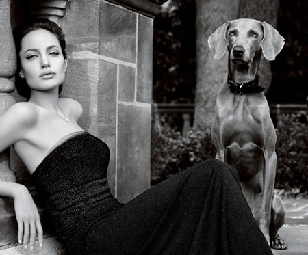 Angelina Jolie kiếm bộn tiền nhất thế giới - 1 Angelina Jolie kiếm bộn tiền nhất thế giới - 1