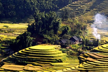 Đề nghị đưa ruộng bậc thang Sa Pa vào Di sản thế giới - 1