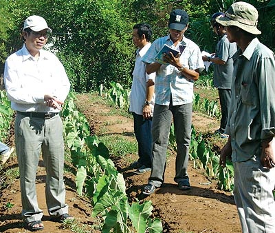 Nông dân thuê trí thức… làm rẫy - 1