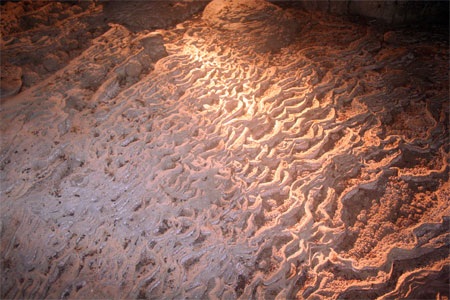 Chùm ảnh: Những kiệt phẩm vô giá giữa rừng già - 20