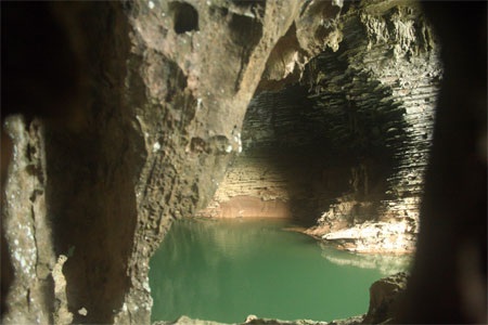 Chùm ảnh: Những kiệt phẩm vô giá giữa rừng già - 5