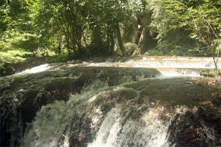 Chùm ảnh: Những kiệt phẩm vô giá giữa rừng già - 23