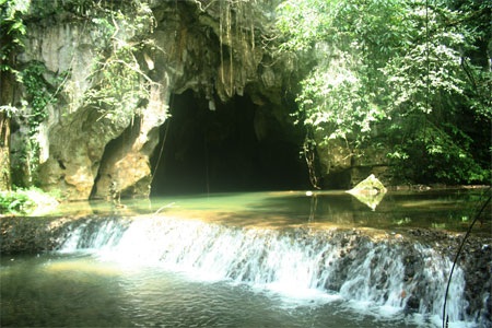 Chùm ảnh: Những kiệt phẩm vô giá giữa rừng già - 22