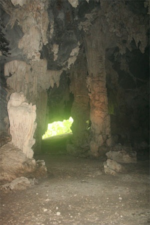 Chùm ảnh: Những kiệt phẩm vô giá giữa rừng già - 8