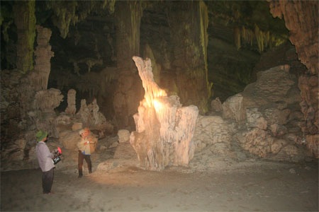 Chùm ảnh: Những kiệt phẩm vô giá giữa rừng già - 7