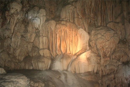 Chùm ảnh: Những kiệt phẩm vô giá giữa rừng già - 13