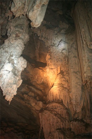 Chùm ảnh: Những kiệt phẩm vô giá giữa rừng già - 14