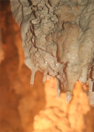 Chùm ảnh: Những kiệt phẩm vô giá giữa rừng già - 16