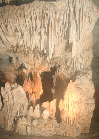 Chùm ảnh: Những kiệt phẩm vô giá giữa rừng già - 9