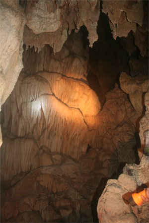 Chùm ảnh: Những kiệt phẩm vô giá giữa rừng già - 10