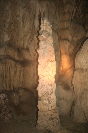 Chùm ảnh: Những kiệt phẩm vô giá giữa rừng già - 15