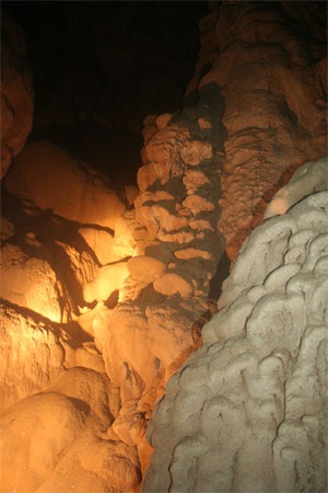 Chùm ảnh: Những kiệt phẩm vô giá giữa rừng già - 12