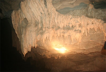 Chùm ảnh: Những kiệt phẩm vô giá giữa rừng già - 17