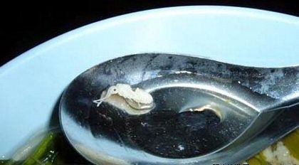 10 món ăn kỳ lạ nhất của đất nước chùa Vàng - 1