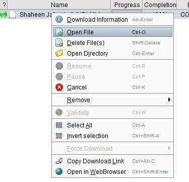 “Tự động hóa” download từ các dịch vụ chia sẻ file trực tuyến - 5 “Tự động hóa” download từ các dịch vụ chia sẻ file trực tuyến - 5