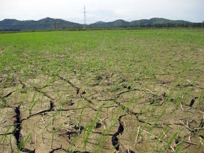 Miền Trung “bỏng nắng” - 1