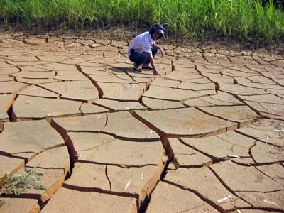 Miền Trung “bỏng nắng” - 2