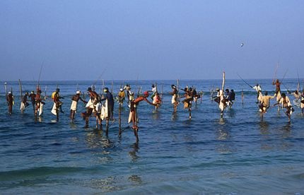 Tập quán câu cá trên cà kheo độc đáo ở Sri Lanka - 6