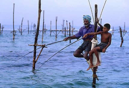 Tập quán câu cá trên cà kheo độc đáo ở Sri Lanka - 5