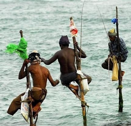 Tập quán câu cá trên cà kheo độc đáo ở Sri Lanka - 4