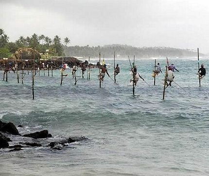 Tập quán câu cá trên cà kheo độc đáo ở Sri Lanka - 1